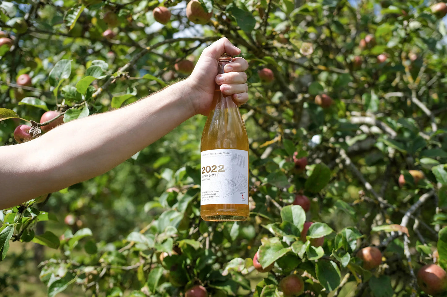 Lockup Bottle Shop - Ross on Wye Cider - 2022 Raison d'Êtr   8.4%