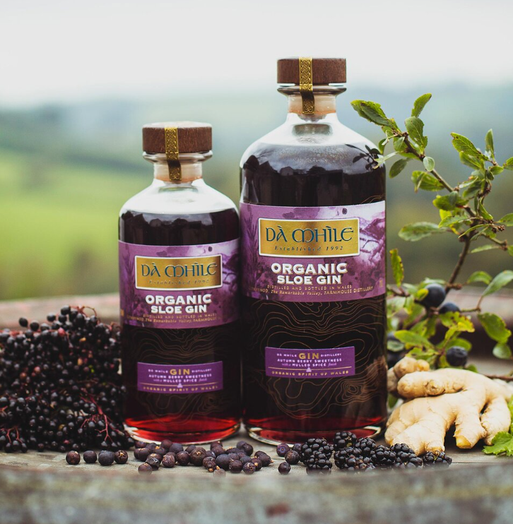 Lockup Bottle Shop - Da Mhile - Sloe Gin 25.0%