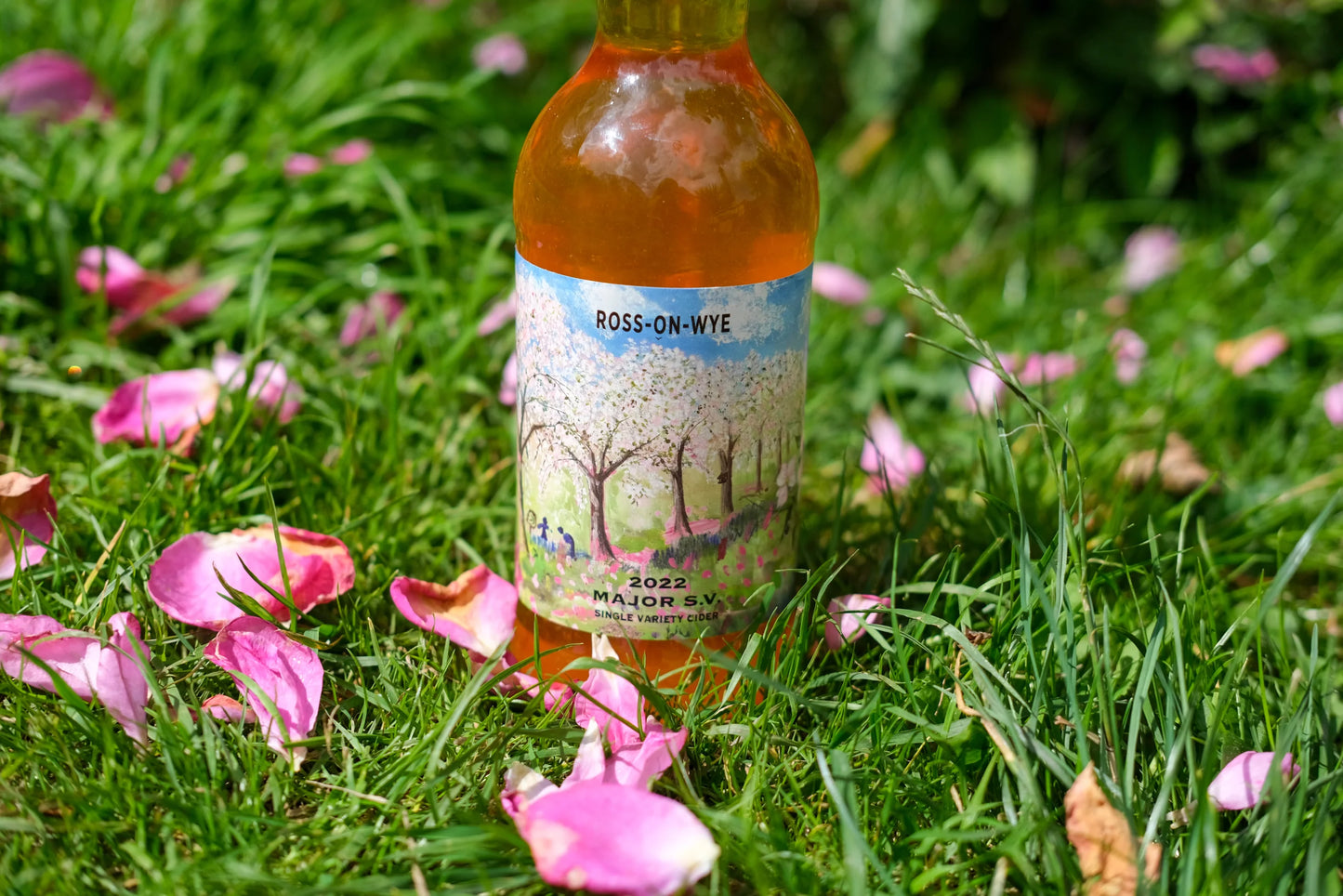Ross on Wye Cider - 2022 Major S.V. 8.4%