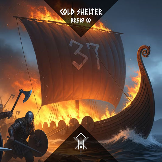 Cold Shelter - Lost Boys   3.7%