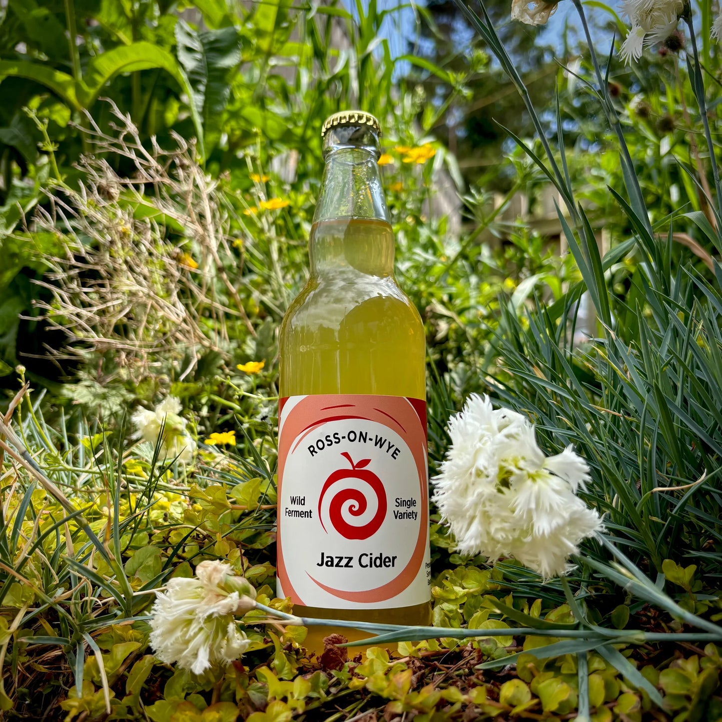 Lockup Bottle Shop - Ross on Wye Cider - Jazz   6.5%