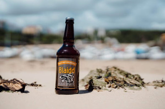 Harbwr Tenby - Blaidd   5.5%
