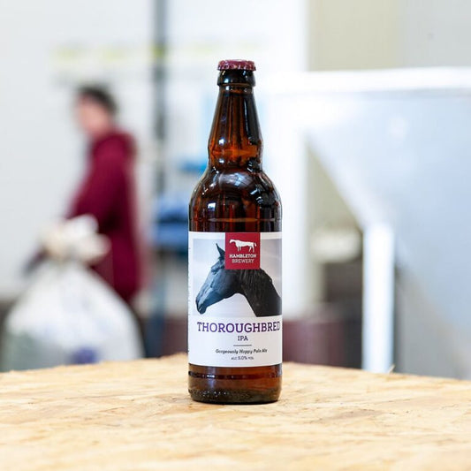 Hambleton - Thoroughbred IPA    5.0%