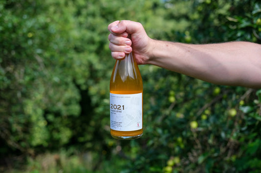 Ross on Wye Cider - 2021 Raison d'Être Cider   8.4%