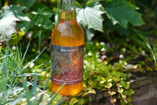 Ross on Wye Cider - 2019 Oak Cask Somerset Redstreak S.V.    8.4%